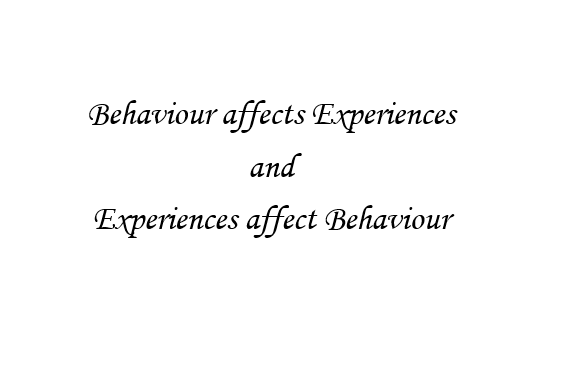 behaviour affects experiences
