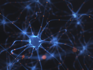 brain neurons depression serotonin
